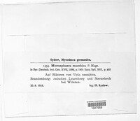Image Associated With the Occurence